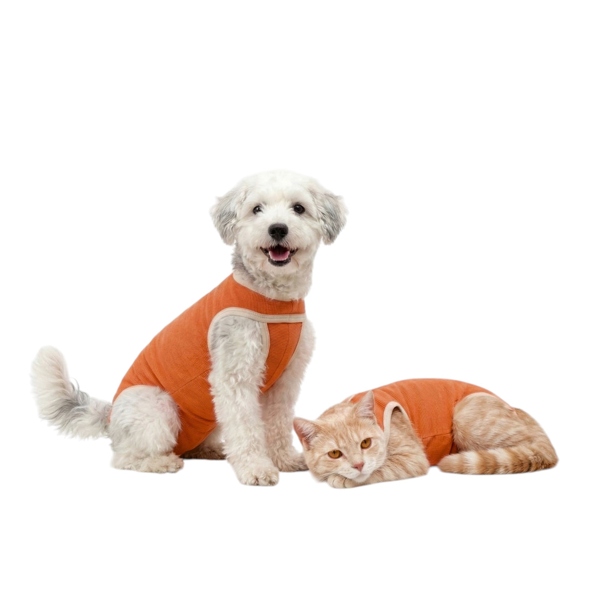 BODY COBRE TRADICIONAL PERRO Y GATO TALLA 4 | 6A 7,5 KG