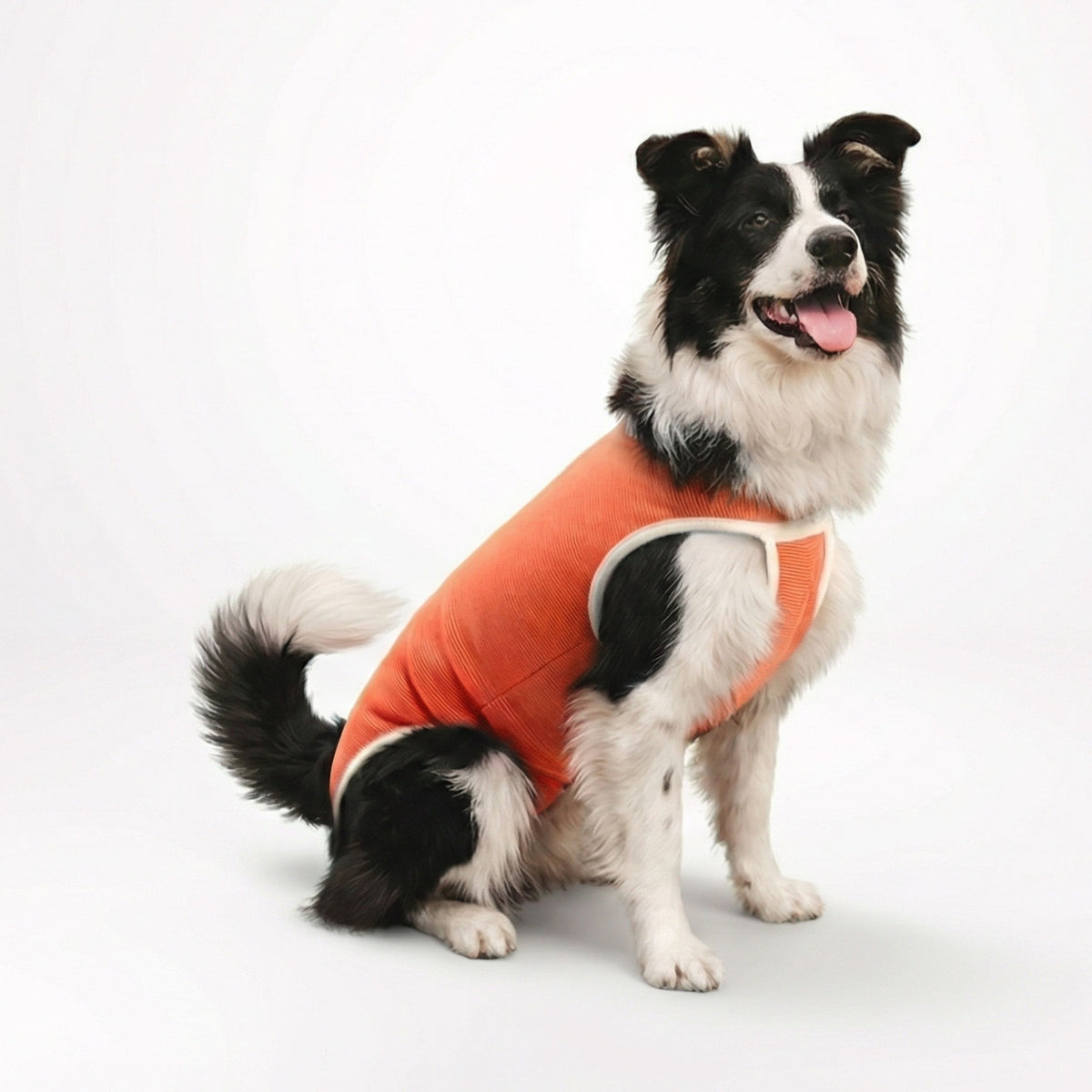 BODY COBRE TRADICIONAL PERRO Y GATO TALLA 8 | 17 a 21 kg
