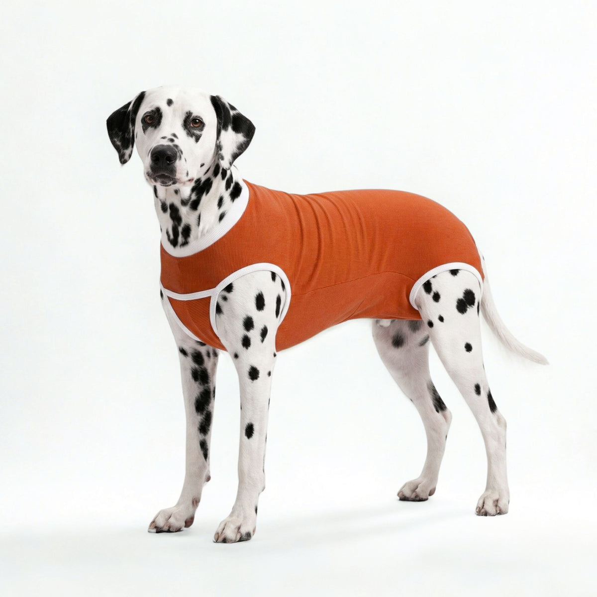 BODY COBRE TRADICIONAL PERRO Y GATO TALLA 10 | 25 a 30 kg