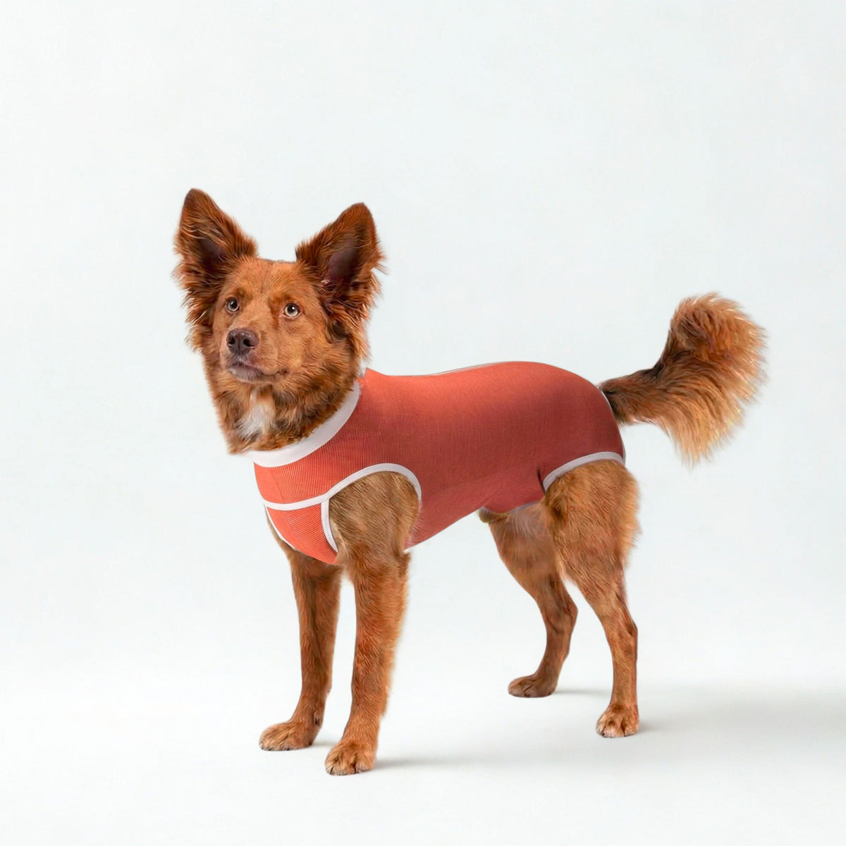 BODY COBRE TRADICIONAL PERRO Y GATO TALLA 8 | 17 a 21 kg
