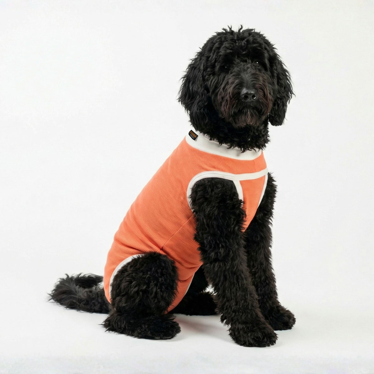 BODY COBRE TRADICIONAL PERRO Y GATO TALLA 9 | 21 a 25 kg