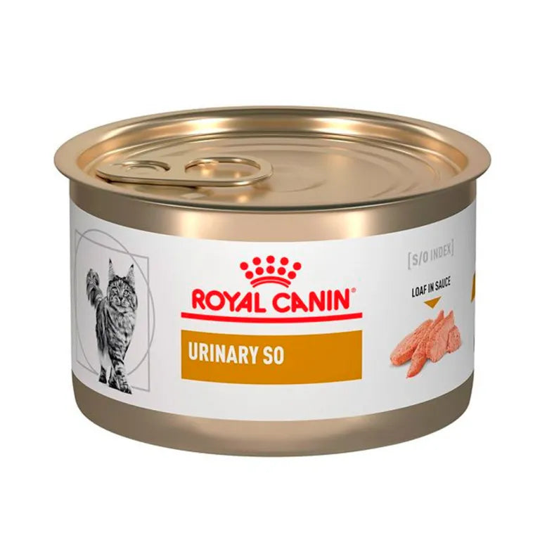 LATA ROYAL CANIN FELINE URINARY S/O 145GR