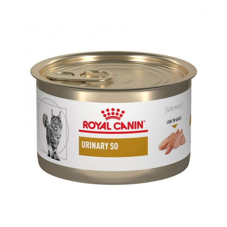 LATA ROYAL CANIN GATO URINARY S/O 145GR