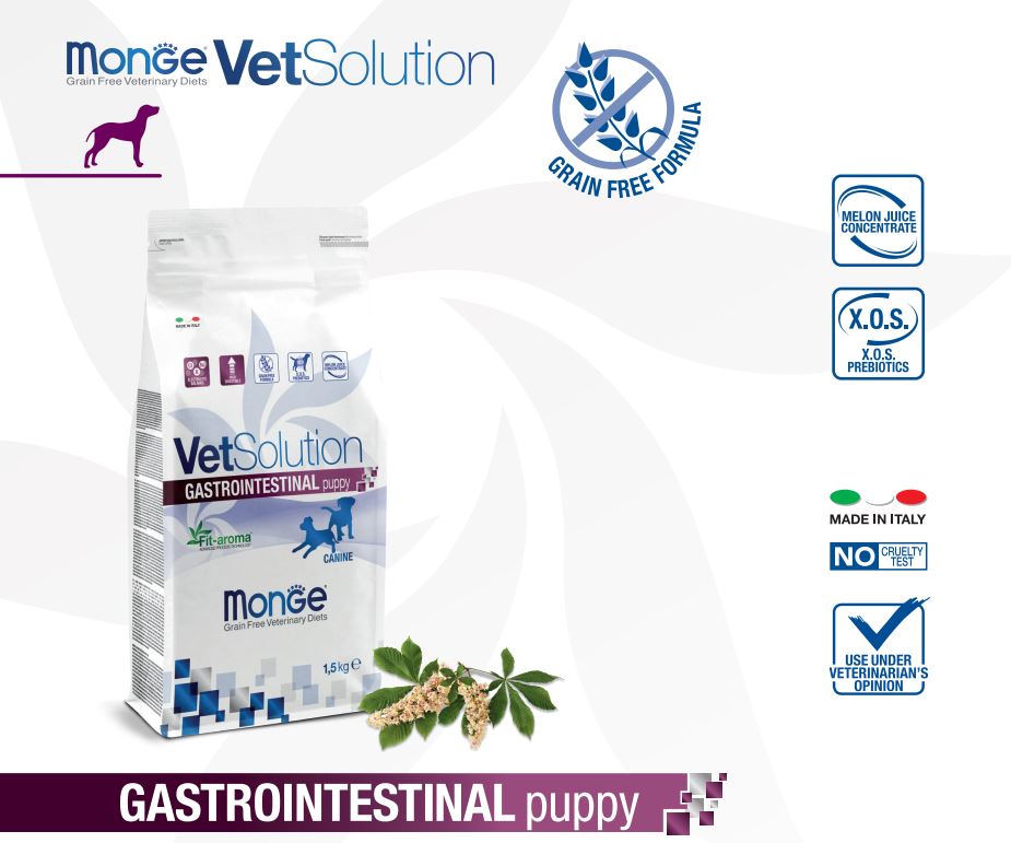 MONGE VETSOLUTION CACHORRO GASTROINTESTINAL 2KG