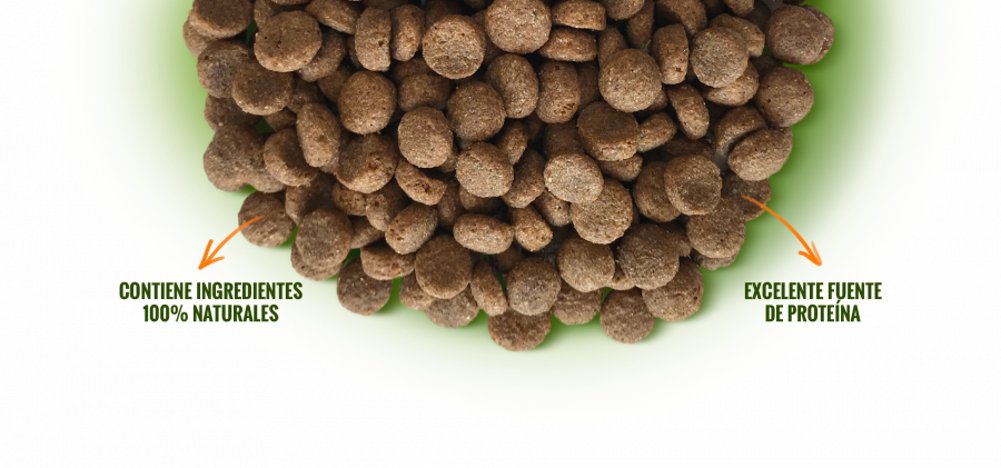 NOMADE ADULTO R. PEQUEÑAS 10KG