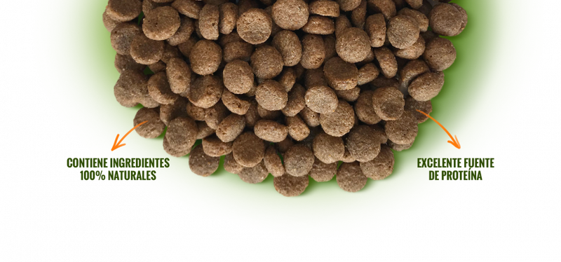 NOMADE ADULTO R. PEQUEÑAS 10KG