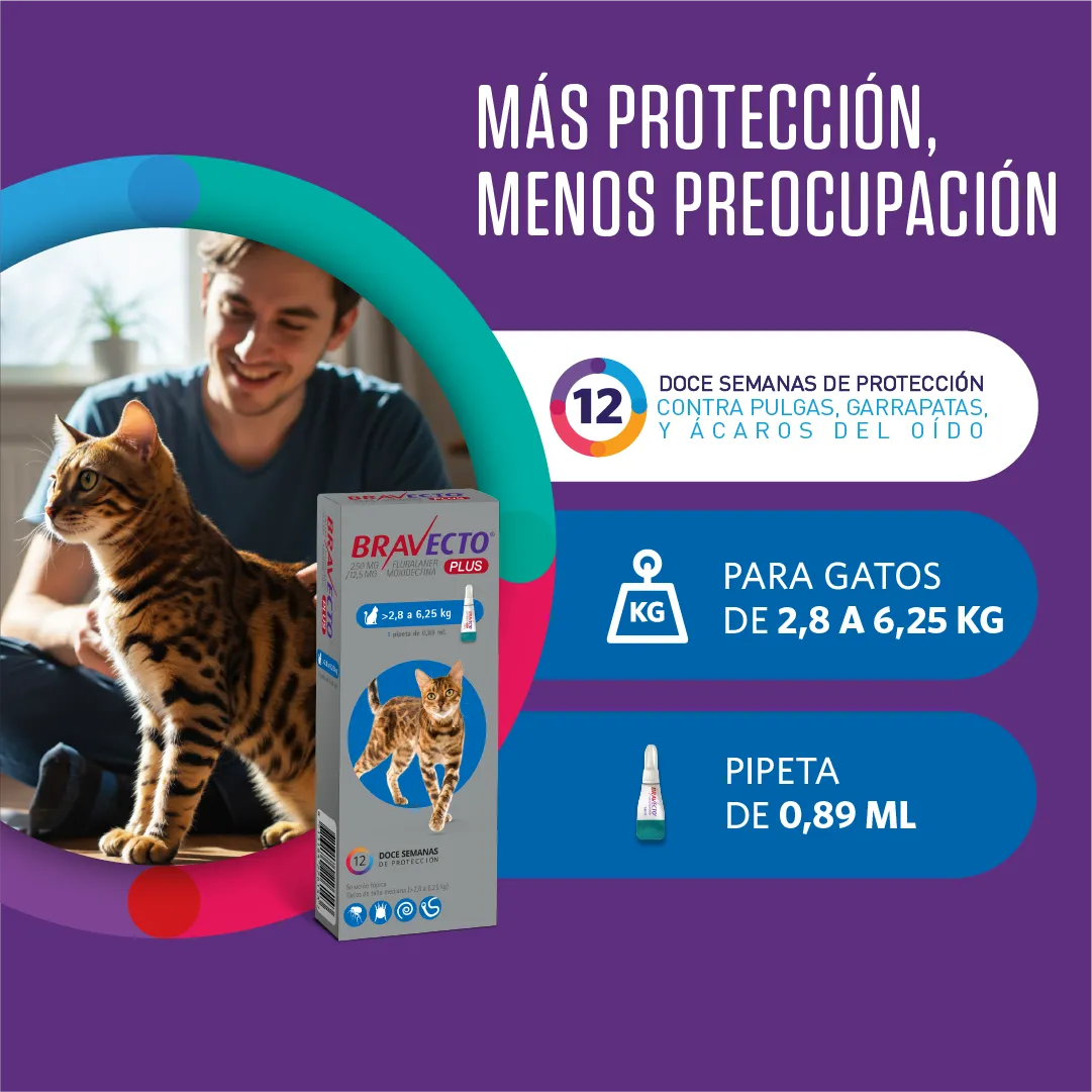 PIPETA BRAVECTO GATO MEDIANO 2.8-6.25 X UNIDAD