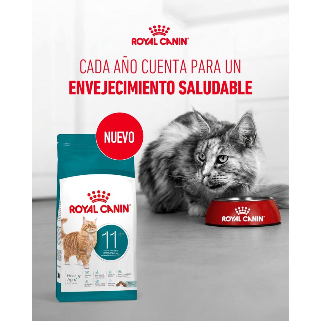 ROYAL CANIN HEALTHY AGEING 11+ FELINO 2KG
