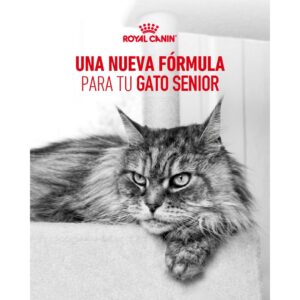 ROYAL CANIN HEALTHY AGEING 11+ FELINO 2KG