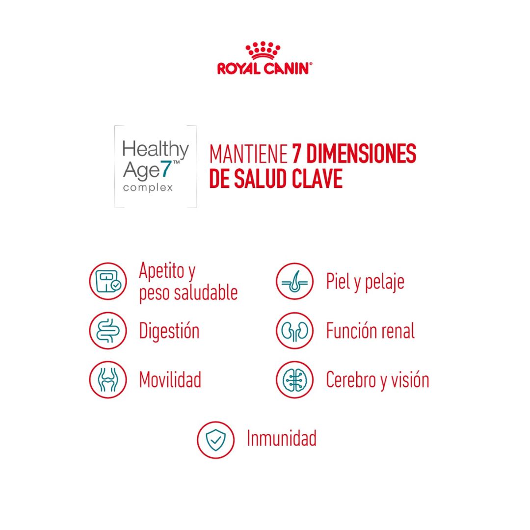 ROYAL CANIN HEALTHY AGEING 11+ FELINO 2KG