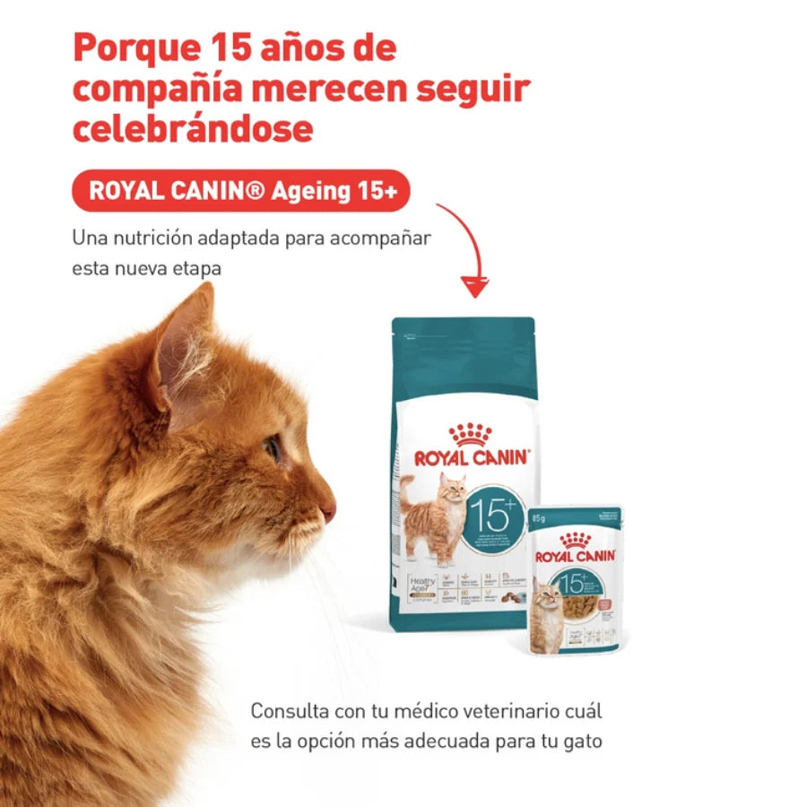 ROYAL CANIN SOBRE AGEING 15+ GATO 85GR