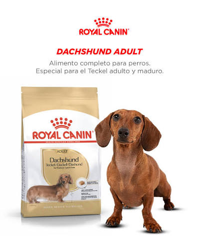 ROYAL CANIN DACHSHUND ADULTO 2.5KG