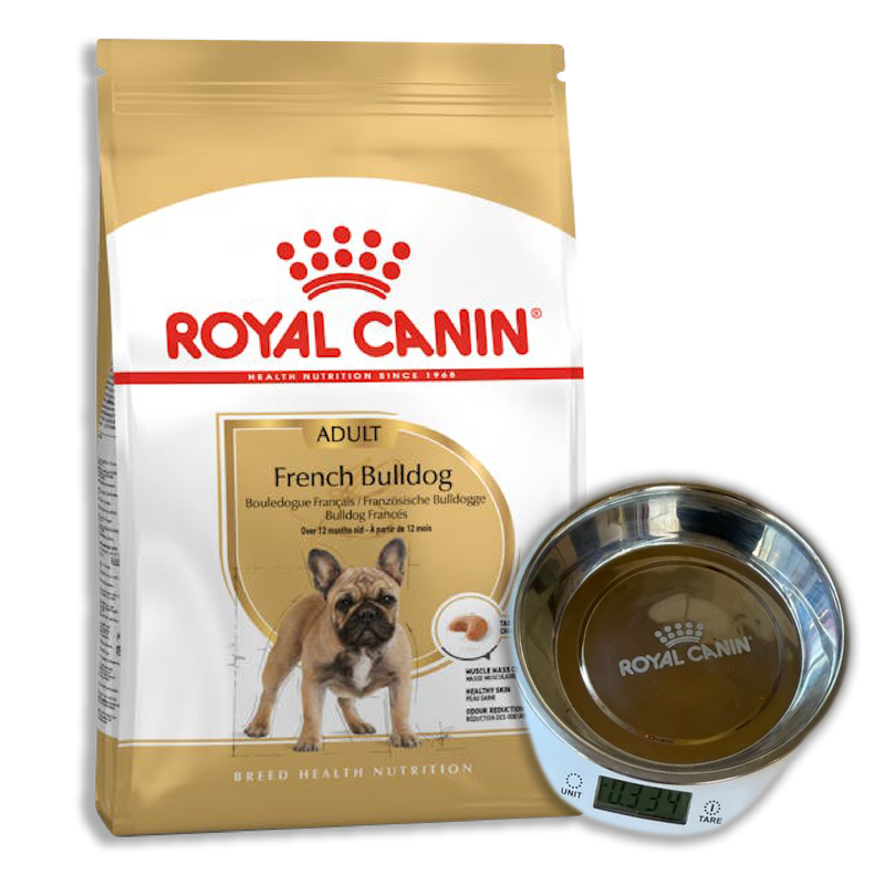 ROYAL CANIN BULLDOG FRANCES ADULTO 3KG + PLATO PESA DE REGALO