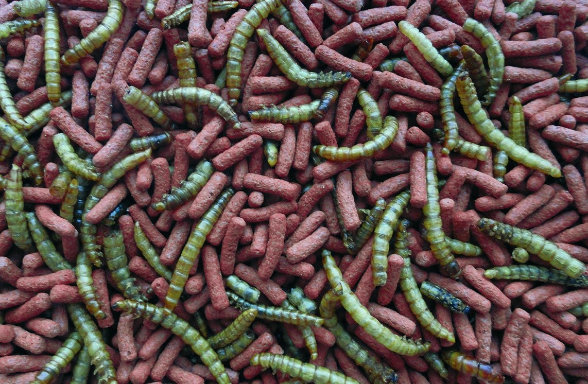ALIMENTO P/ERIZO DE TIERRA ATELERIX  300GR