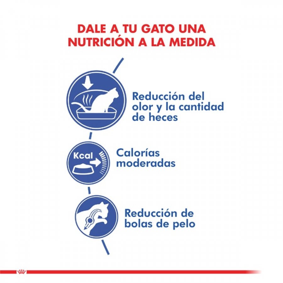 ROYAL CANIN CAT ADULTO INDOOR 400GR