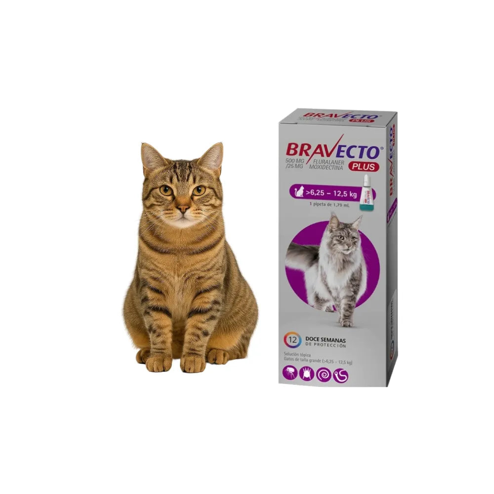 PIPETA BRAVECTO PLUS GATO GRANDE 6.25-12.5 X 1 UNIDAD