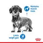 ROYAL CANIN PERRO RAZAS PEQUEÑAS LIGHT 2,5KG