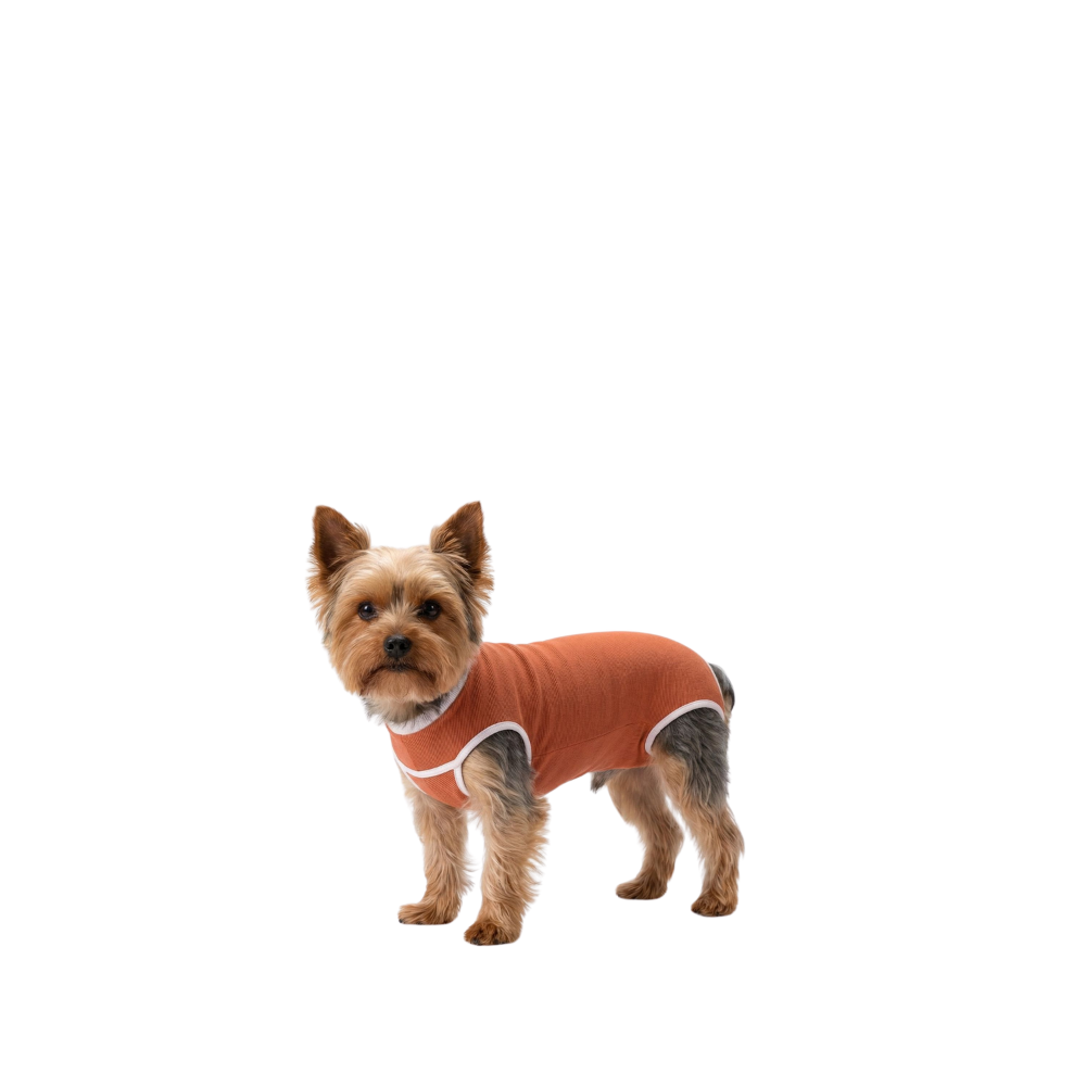 BODY COBRE TRADICIONAL PERRO Y GATO TALLA 1 | 2.5 a 3.5 kg