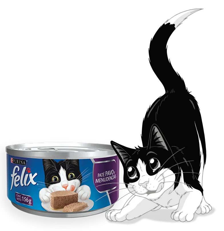 FELIX ALIMENTO HÚMEDO GATO PATE SABOR PAVO 156GR