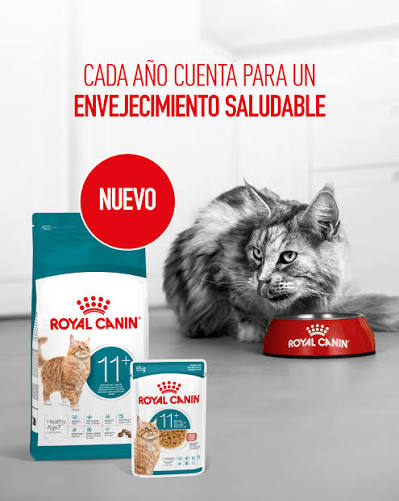 ROYAL CANIN SOBRE AGEING 11+ FELINO 85GR
