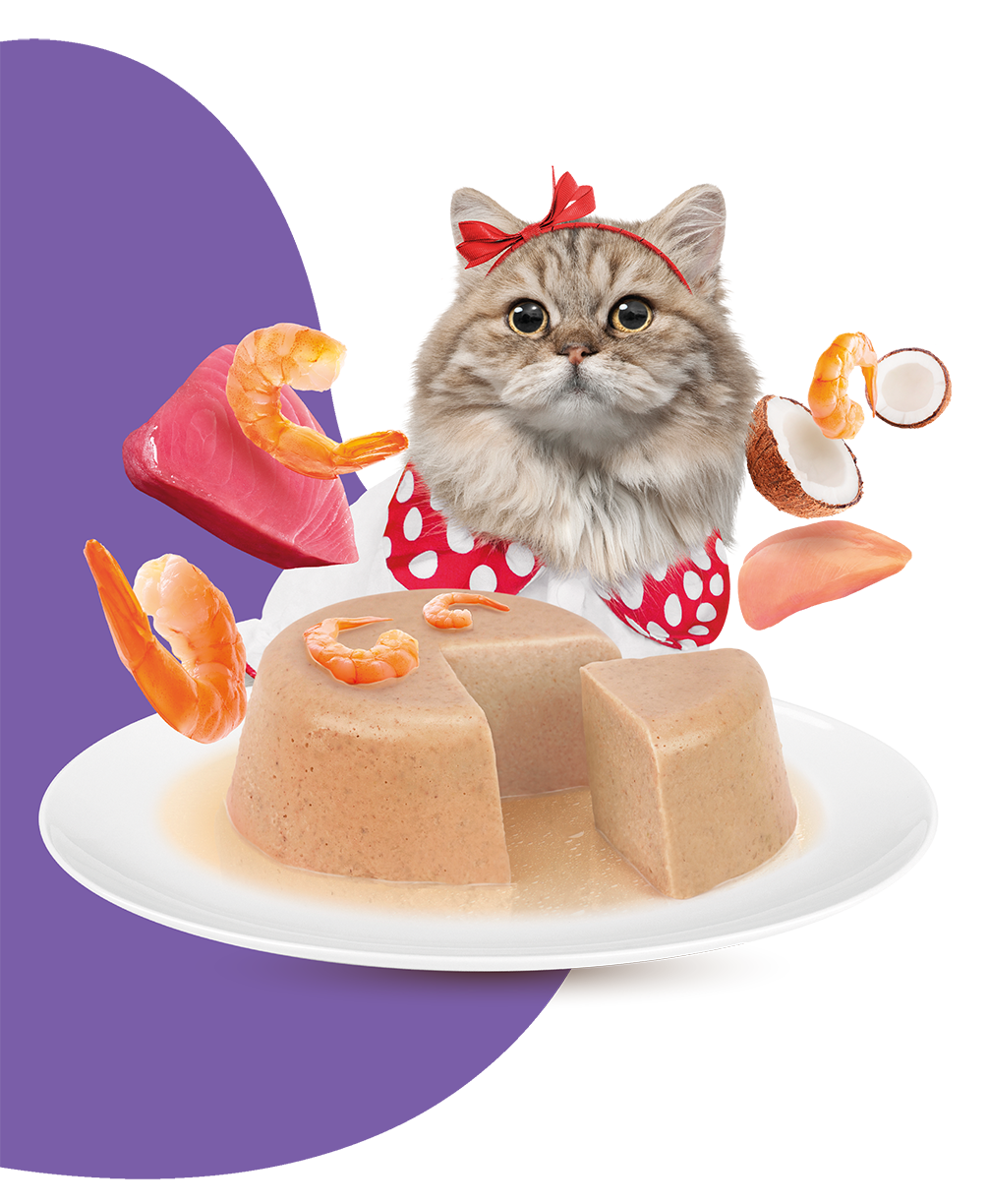 MOOCHIE SOBRE GATO CAMARON 70GRS HAIRBALL CARE