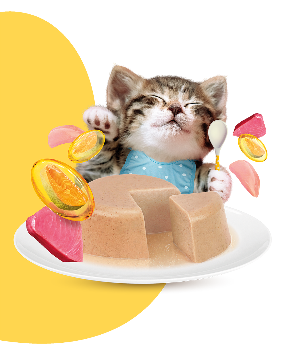 MOOCHIE SOBRE GATITO ATÚN POLLO 70GRS HEALTHY GROWTH