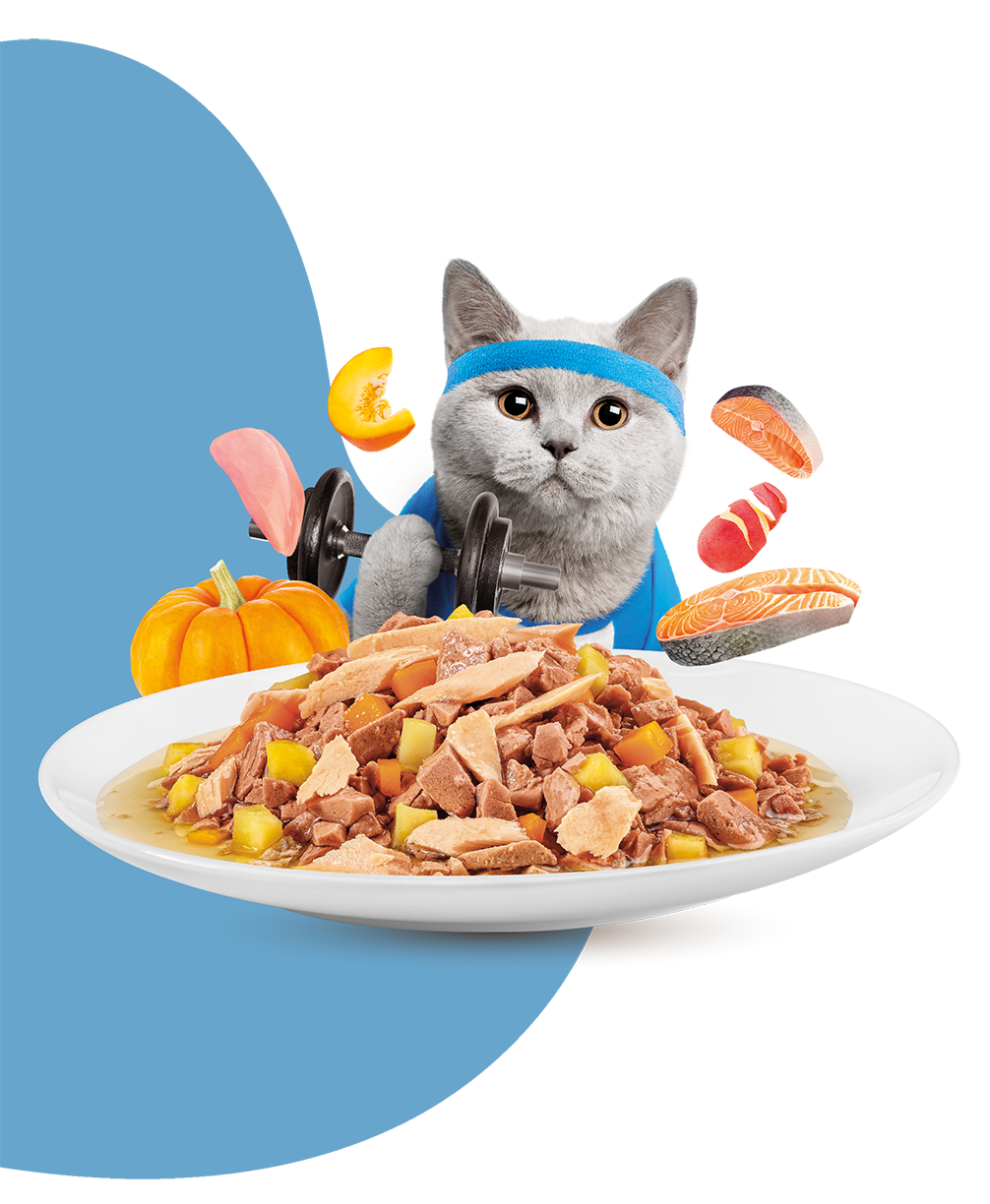 MOOCHIE SOBRE GATO CARNE SALMÓN 70GRS WEIGHT CONTROL