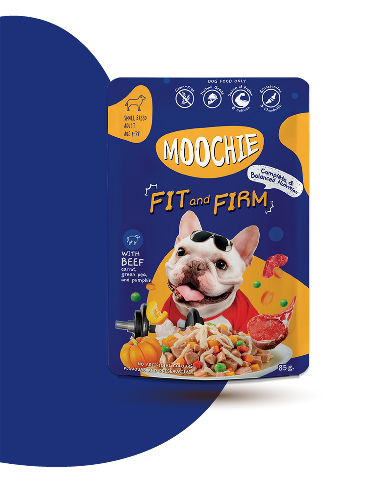 MOOCHIE SOBRE PERRO CARNE 85GRS FIT AND FIRM