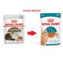 ROYAL CANIN SOBRE AGEING 11+ FELINO 85GR