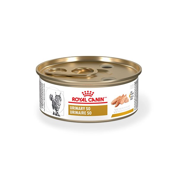 LATA ROYAL CANIN FELINE URINARY S/O 145GR