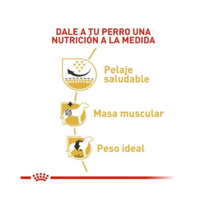 ROYAL CANIN ADULTO PUG 2.5KG