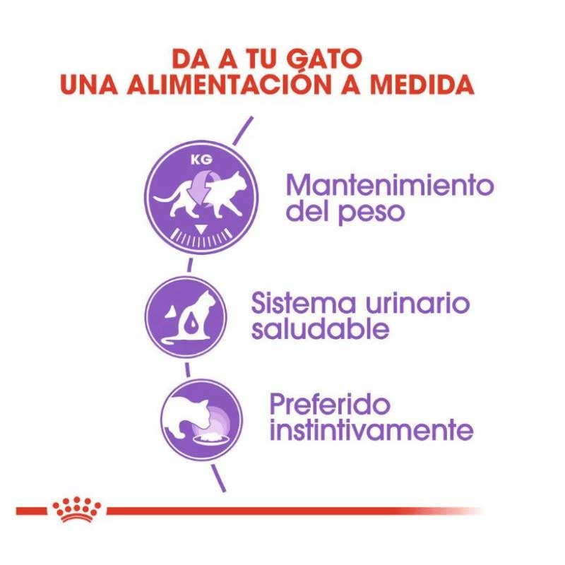 ROYAL CANIN SOBRE STERILISED FELINO 85GR