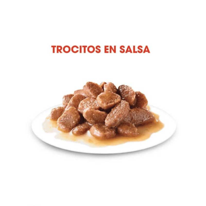 ROYAL CANIN SOBRE STERILISED FELINO 85GR