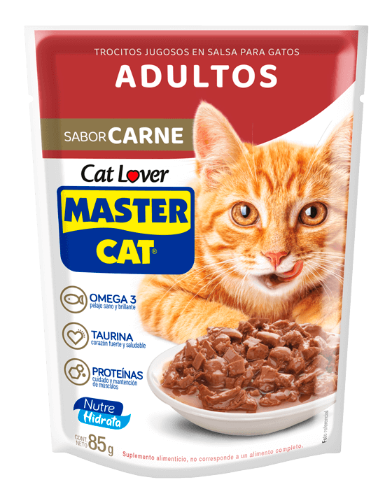 MASTERCAT ADULTO CARNE 85GR