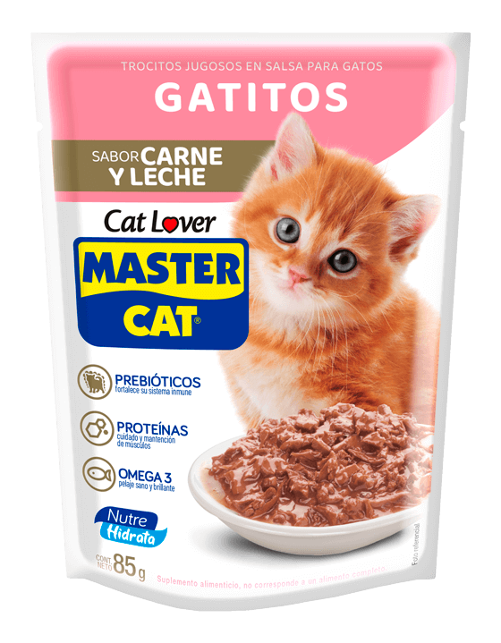 MASTERCAT PARA GATITOS 85GR