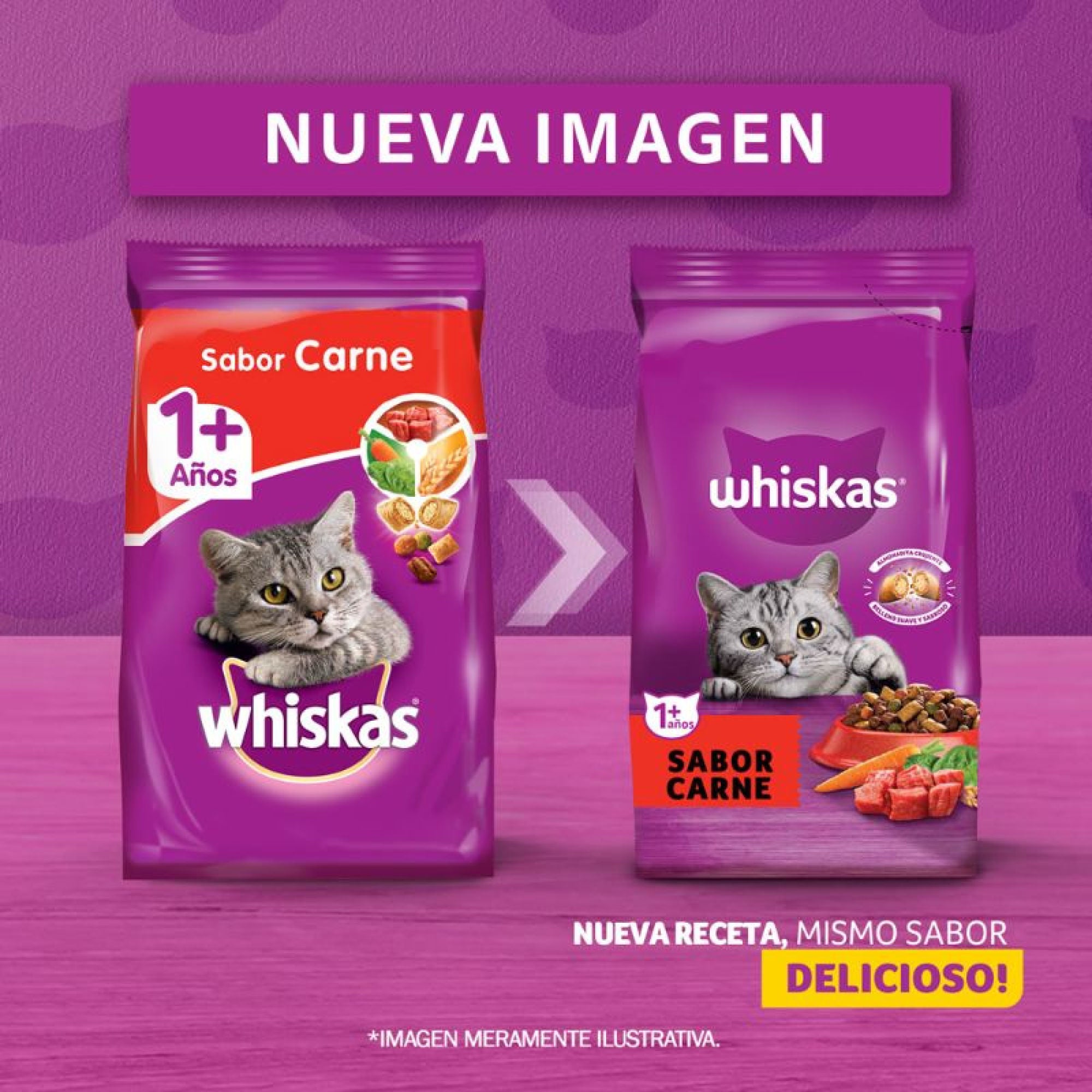 WHISKAS CARNE 3KG