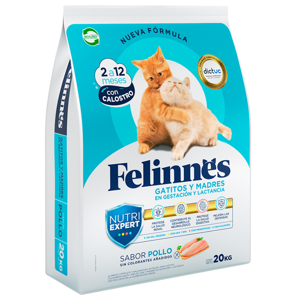 FELINNES GATITOS Y MADRES POLLO