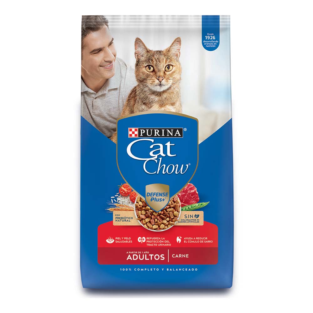 CATCHOW ADULTO CARNE 1KG