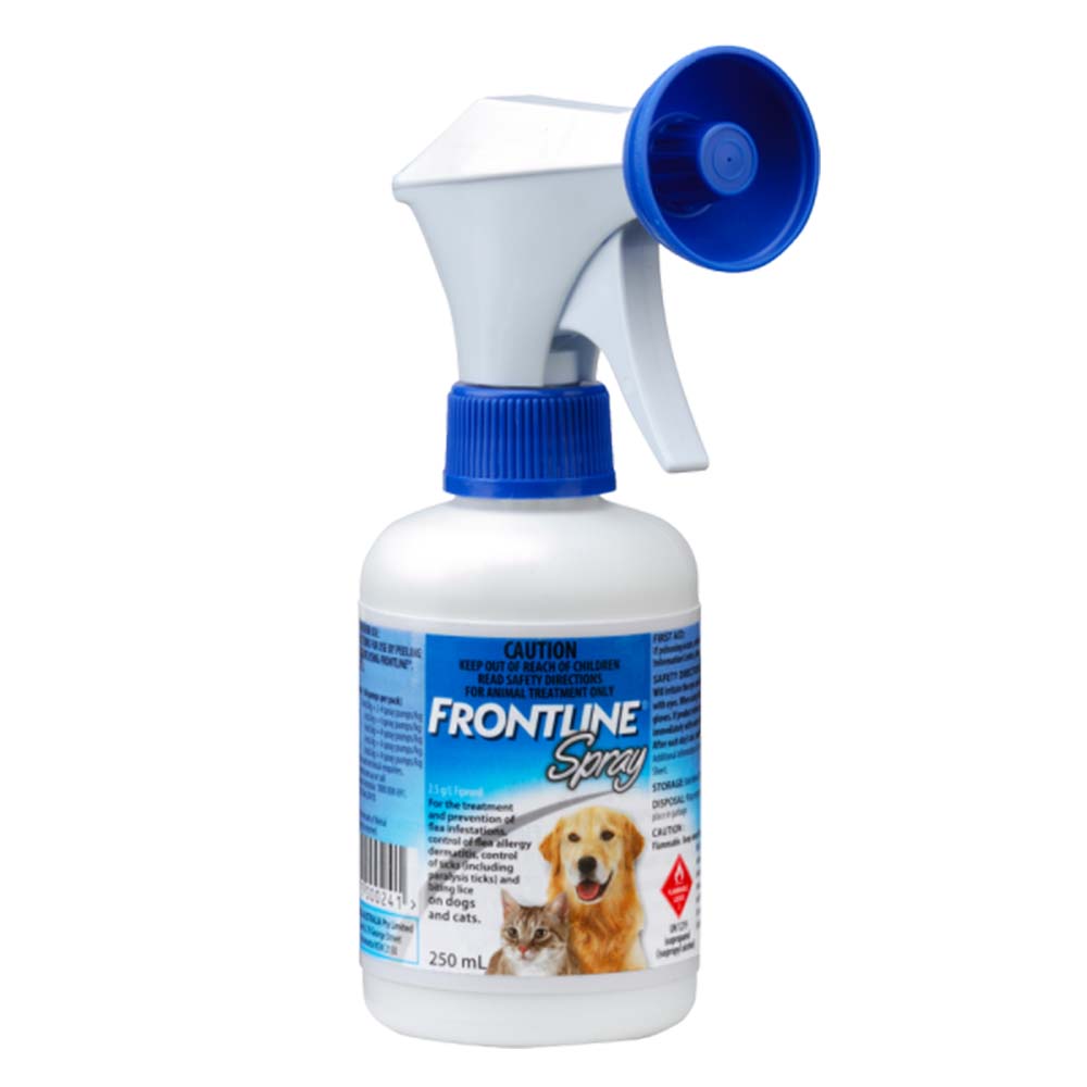 FRONTLINE ROCÍO 250CC.