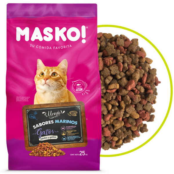 MASKO CAT