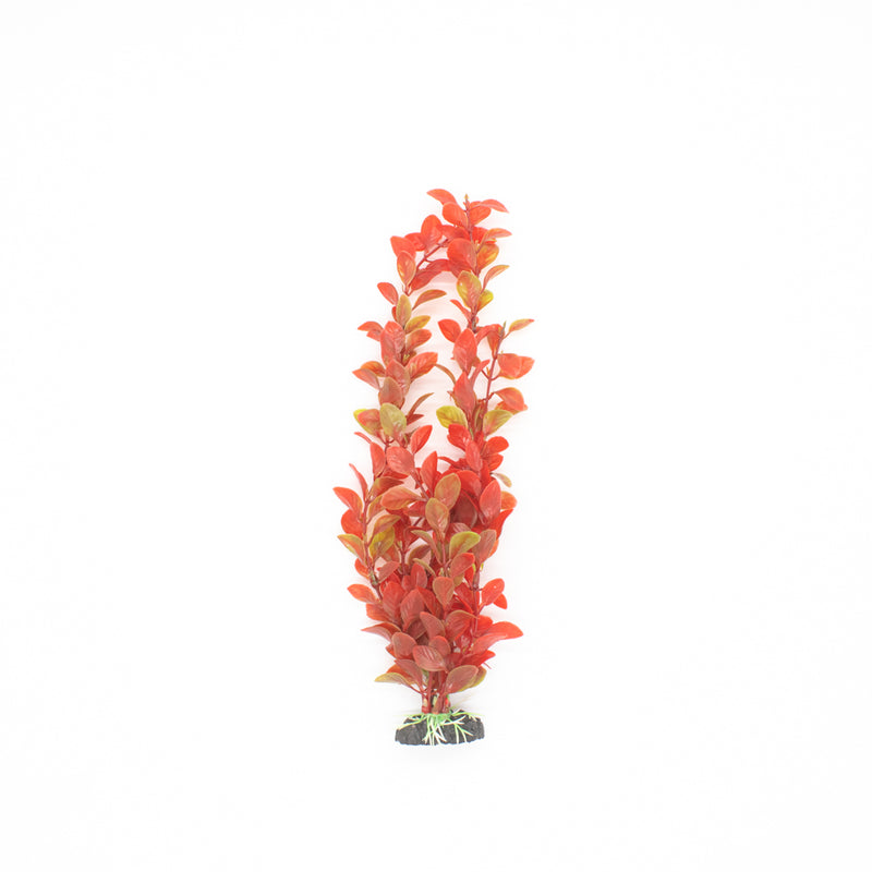 PLANTA ACUARIO MEDIANA M2333